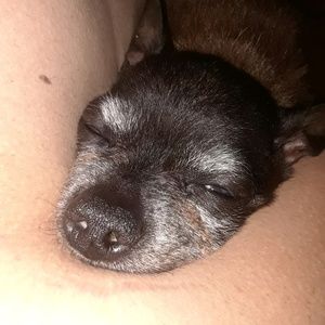 Meet your Posher, Tara